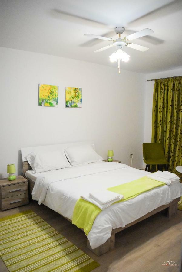 Spacious&cozy 3BD+Terrace Couples Apartment Timisoara Exterior foto
